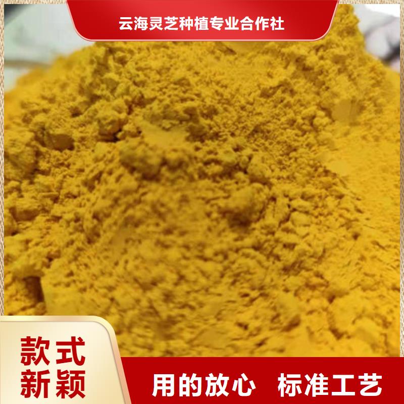 南瓜粉_灵芝子实体切片直销厂家