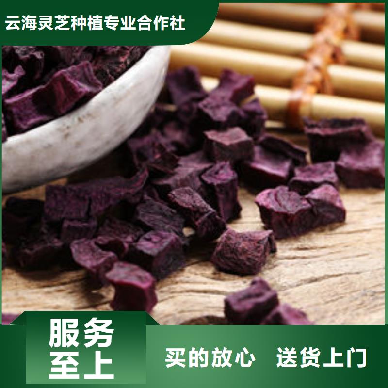 厂家【紫薯丁】灵芝菌种使用方法