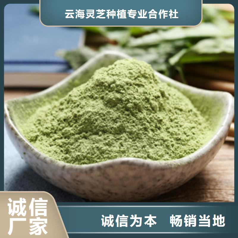 菠菜粉灵芝菌种保质保量