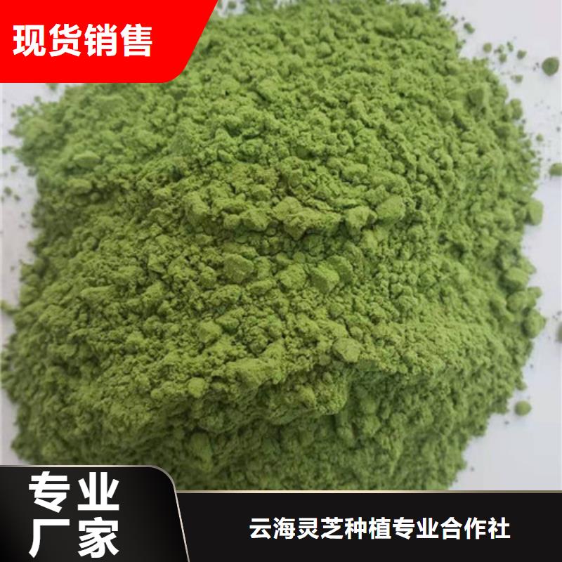 菠菜粉灵芝菌种保质保量