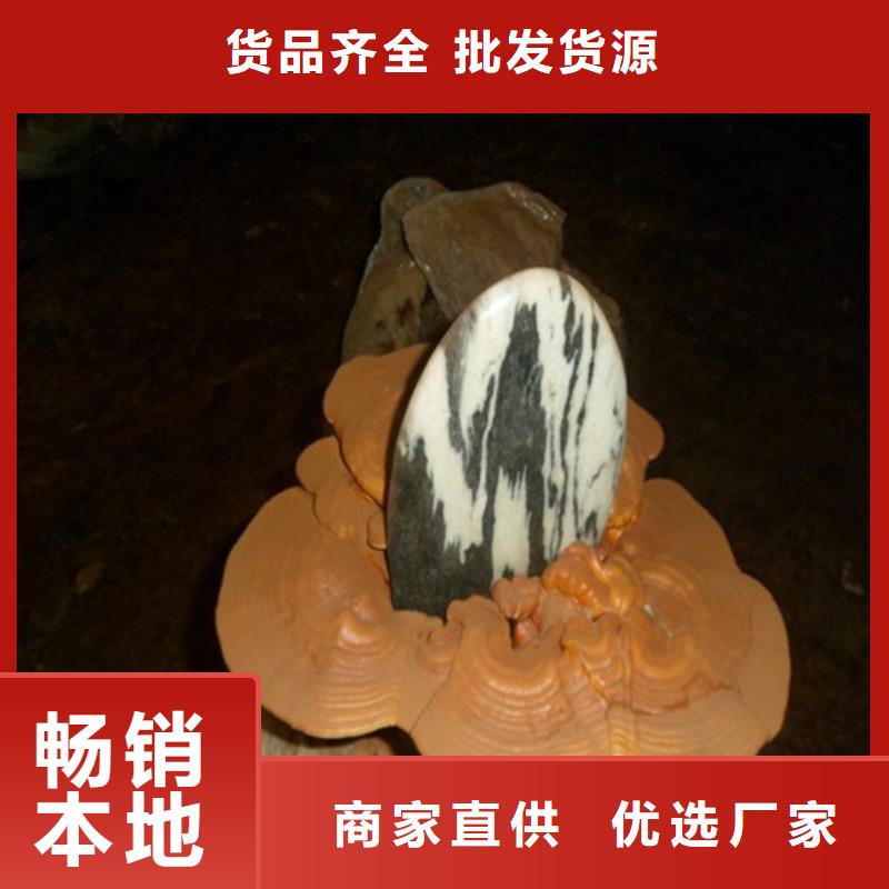 
孢子灵芝、
孢子灵芝供应商