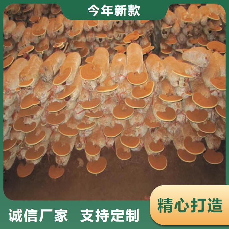定做
灵芝超细粉的经销商