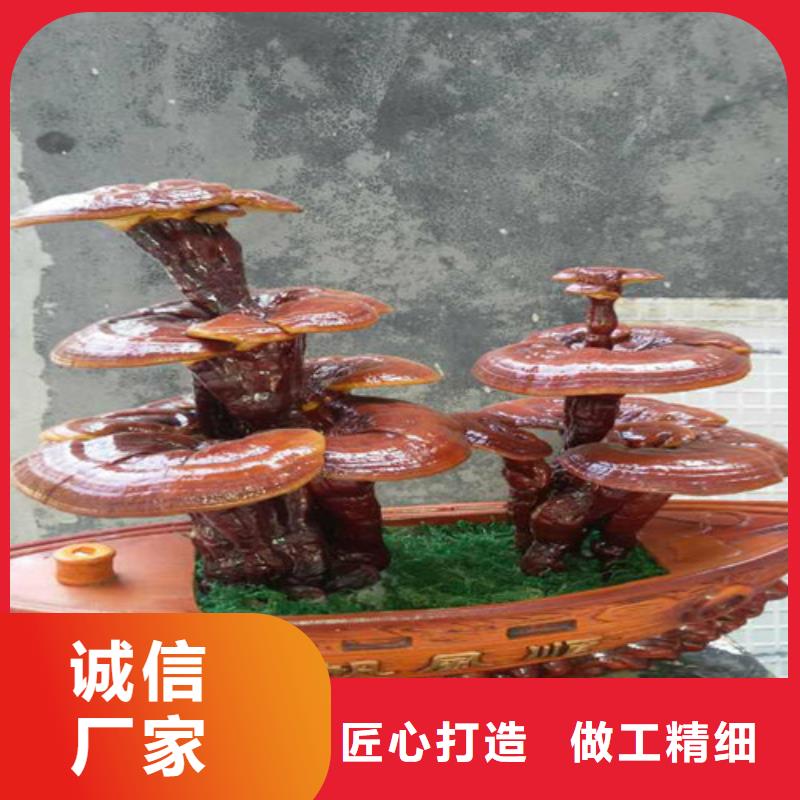 灵芝超细粉|品质好的灵芝超细粉厂家
