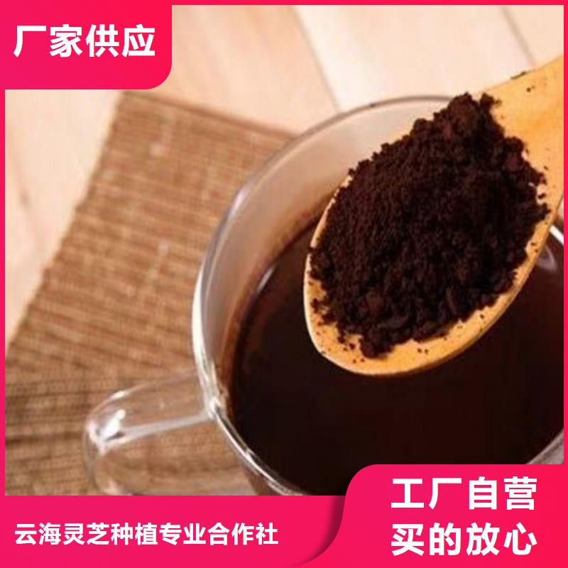 灵芝白牙现货价格