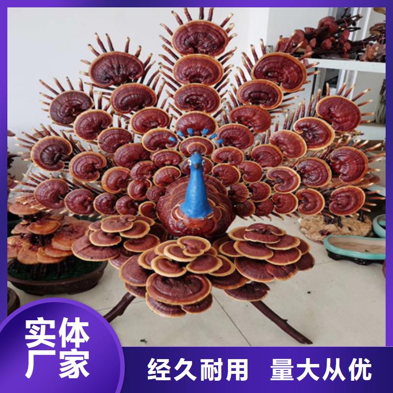 在本地买灵芝粉更实惠