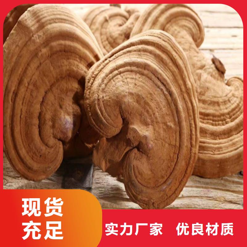 【灵芝孢子粉】 灵芝当地货源