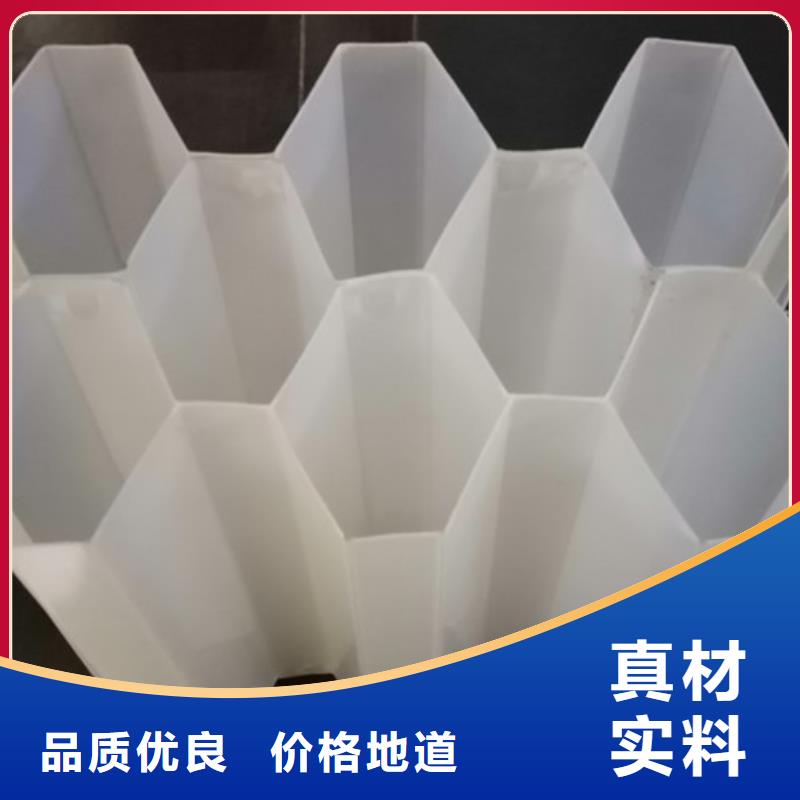 明阳【蜂窝斜管】-柱状活性炭一手货源-二八商务