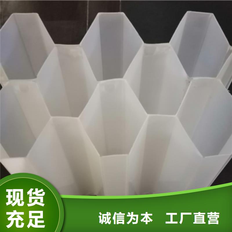 蜂窝斜管柱状活性炭值得信赖