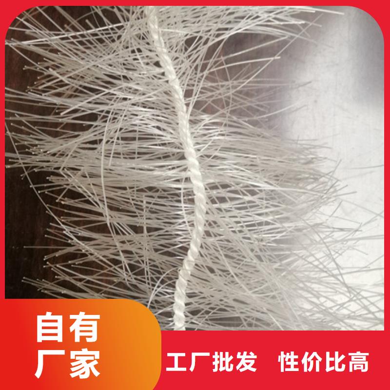 弹性填料氨氮去除剂多年行业经验