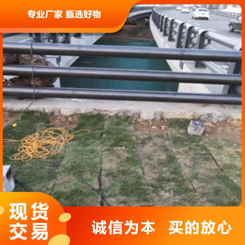 海南省澄迈县椭圆管喷塑护栏立柱畅销全国