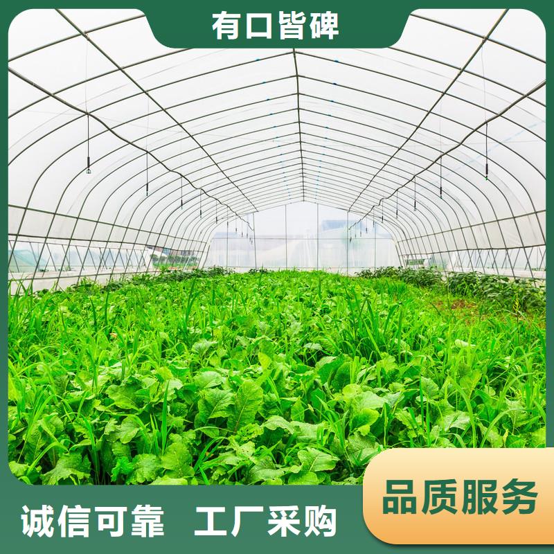 临沭县6分25mm蔬菜大棚钢管口碑好