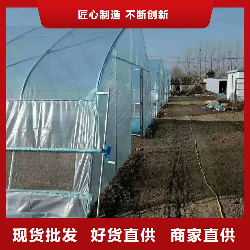 【大棚管】,农业养殖大棚管现货采购
