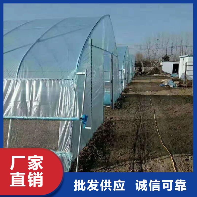 【 大棚管,
镀锌大棚管品质之选】-泽沃特钢(鄂州市分公司)-二八商务