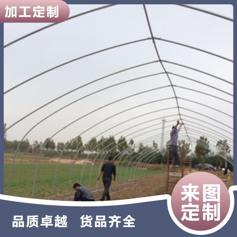 大棚管温室大棚管实力才是硬道理