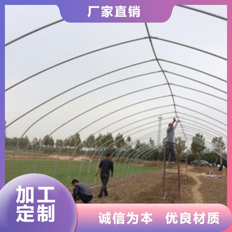 蔬菜连栋大棚 发货及时