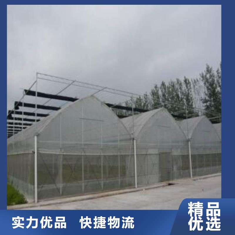 连栋大棚钢管厂,优惠报价