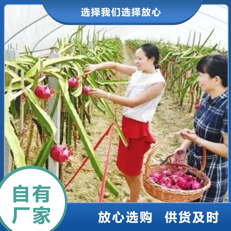 大棚管_连栋大棚管拒绝差价