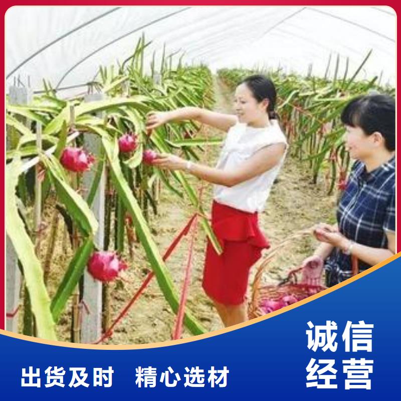 大棚管温室大棚管厂家直销供货稳定