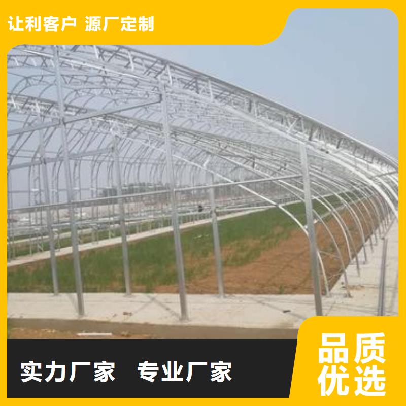 苍山县连栋钢管骨架蔬菜大棚管定制