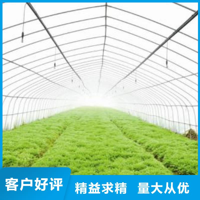 25*1.2/25*1.25镀锌管 性价比高