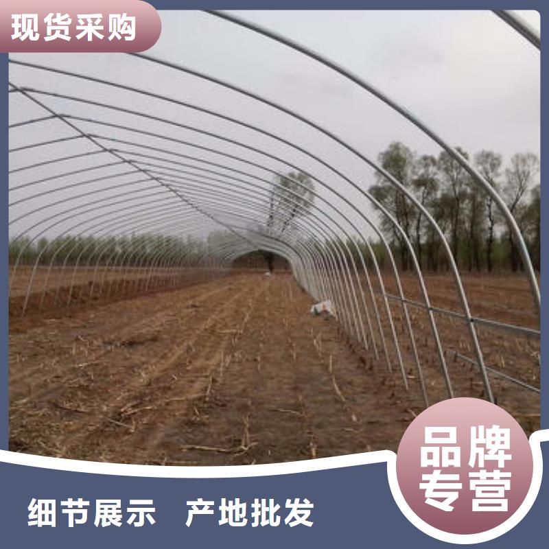 苍山县连栋钢管骨架蔬菜大棚管定制