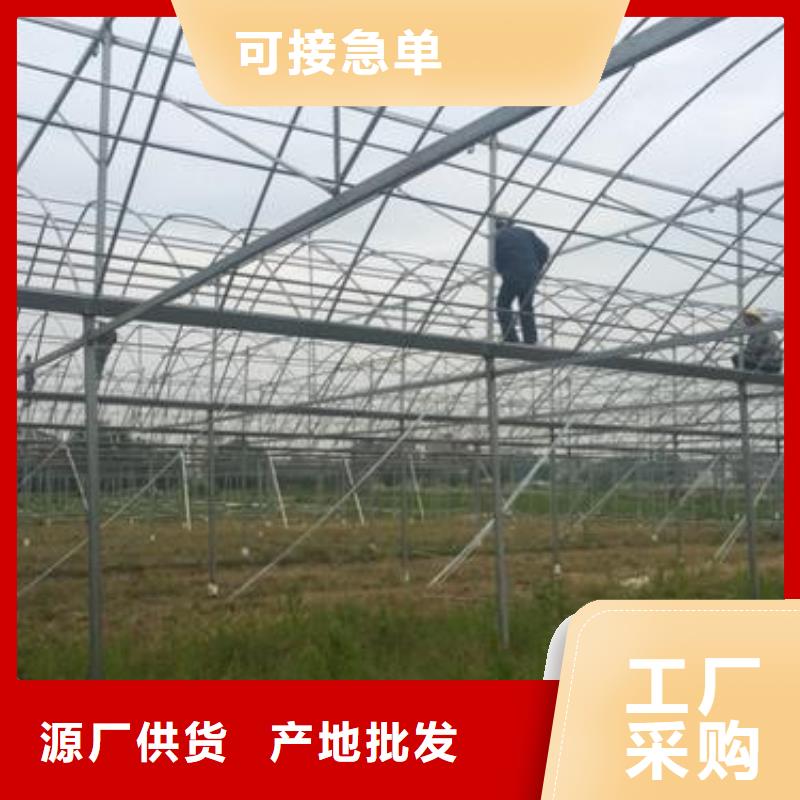 大棚管智能温室大棚从源头保证品质