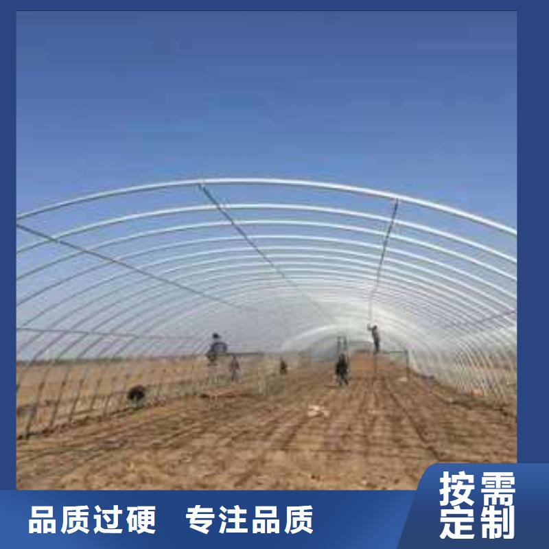 东源春秋冷棚出厂价格2025