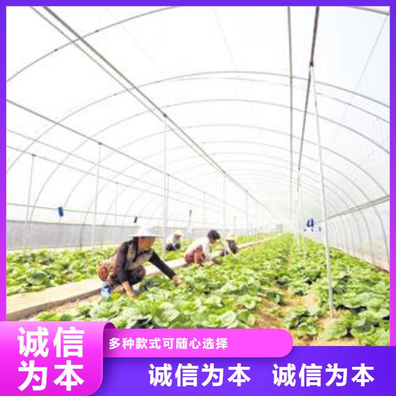 高品质大棚骨架批发价
