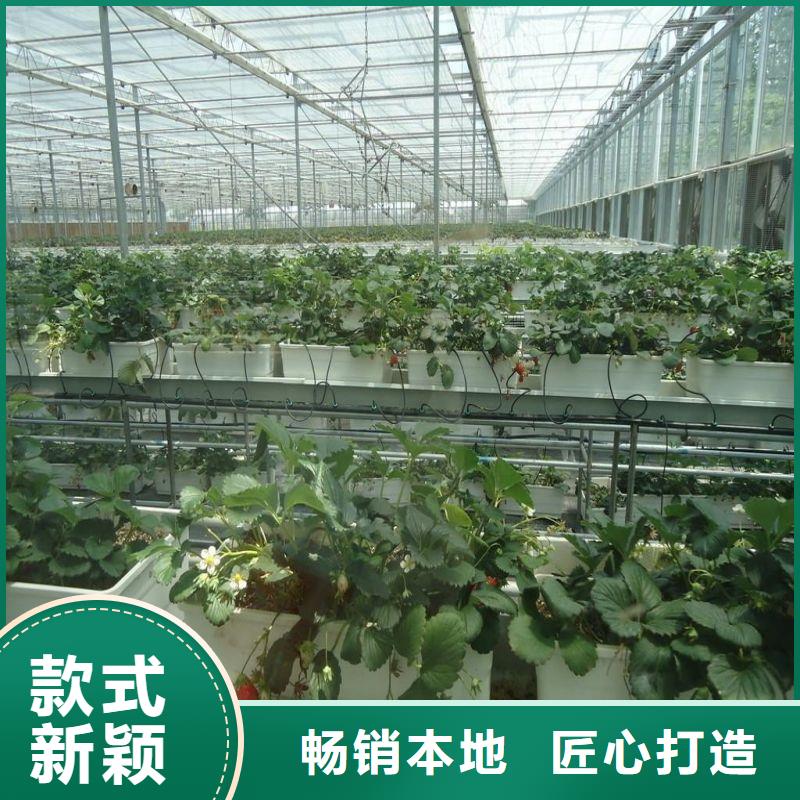 大棚管2铝管  优质材料厂家直销