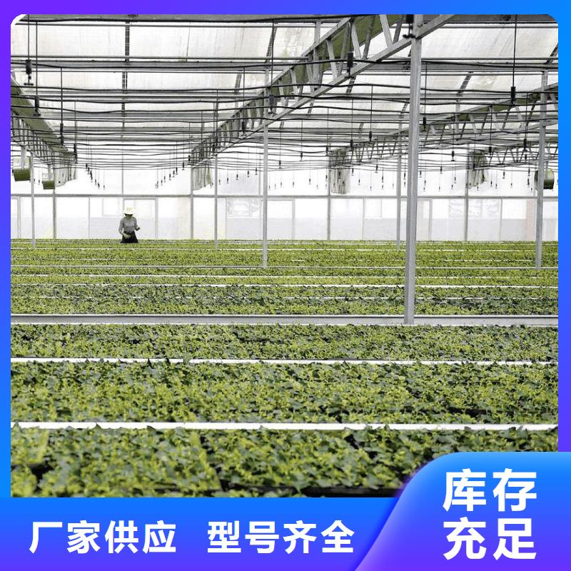 大棚管2方矩管好品质售后无忧
