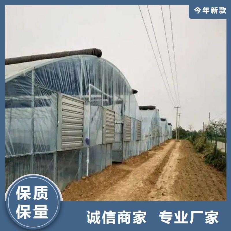 大棚管2温室大棚管厂诚信经营