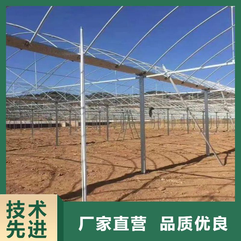 巴青连栋大棚结构图厂家2025