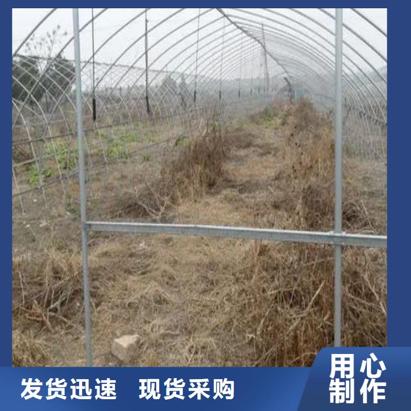 大棚管2大棚管采购无忧