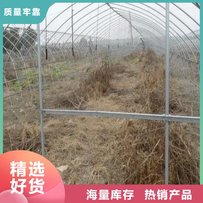 大棚管2 镀锌方管专注细节更放心