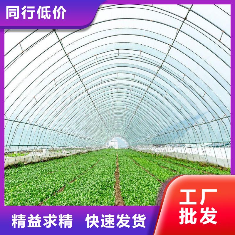 大棚管2方管可定制