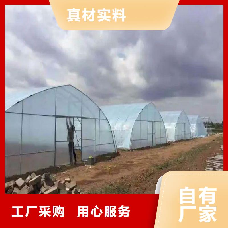 大棚管2铝管  优质材料厂家直销