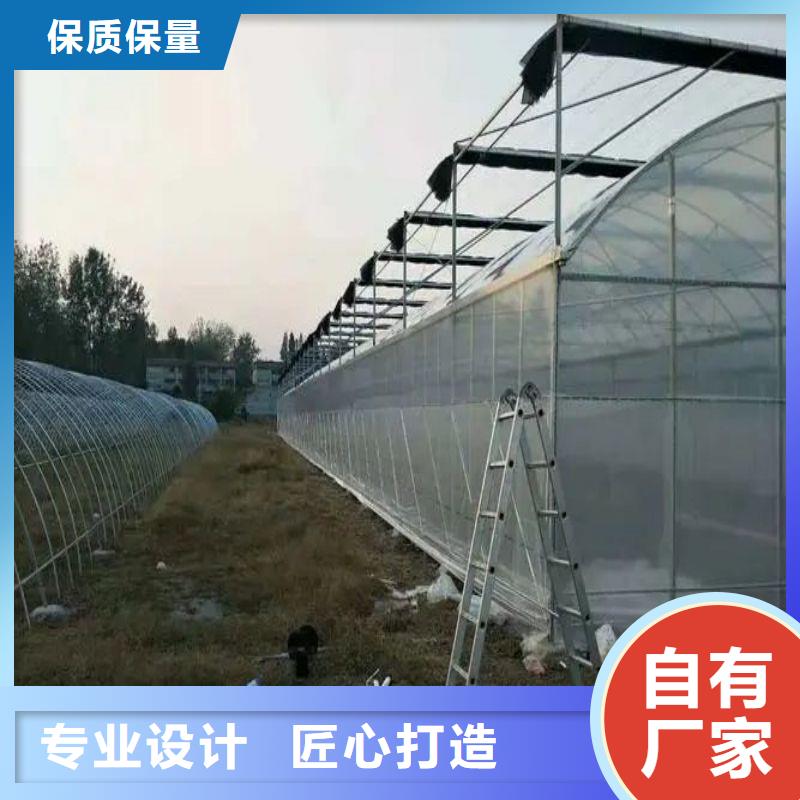 永嘉区连栋温室大棚价格
