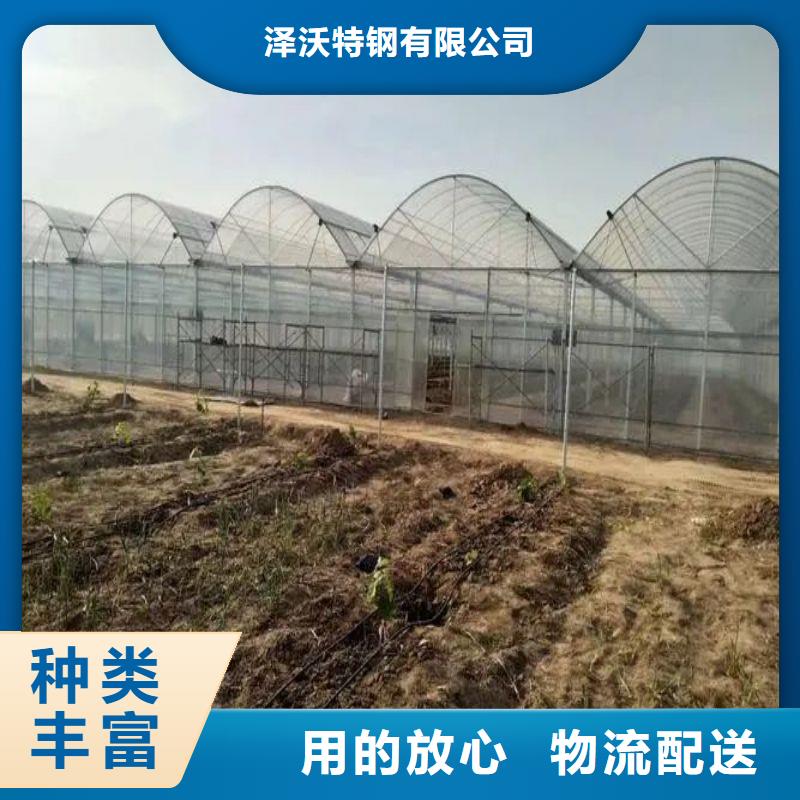 大棚管2_大棚管厂家多种规格供您选择