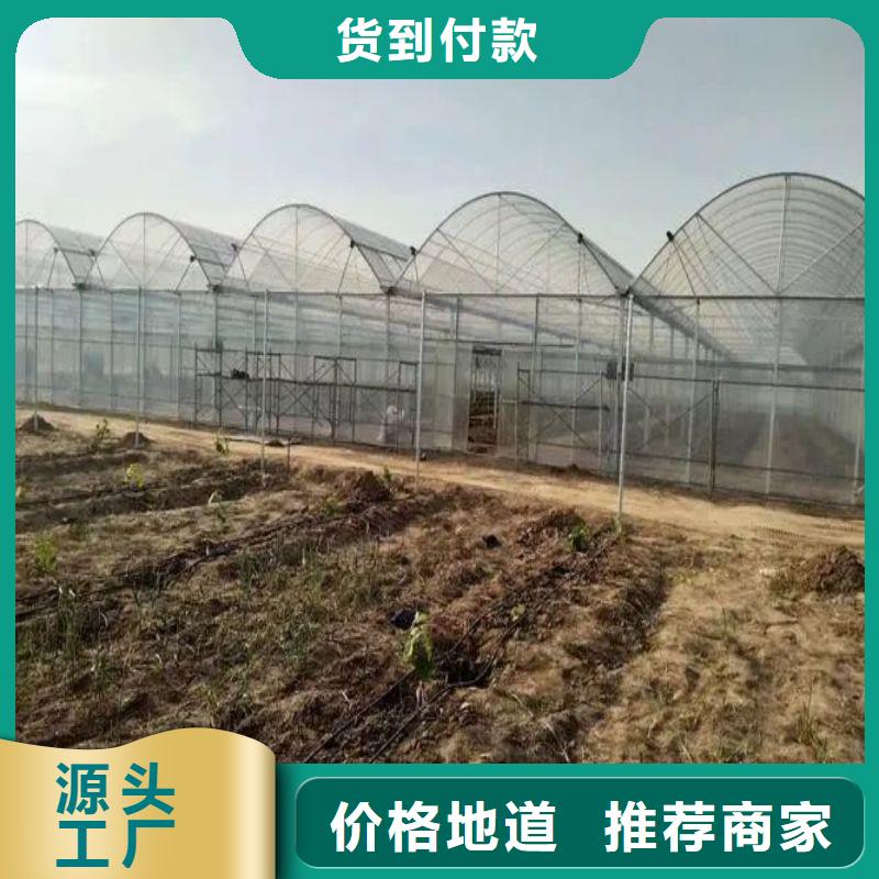 大棚管2 温室大棚管发货及时