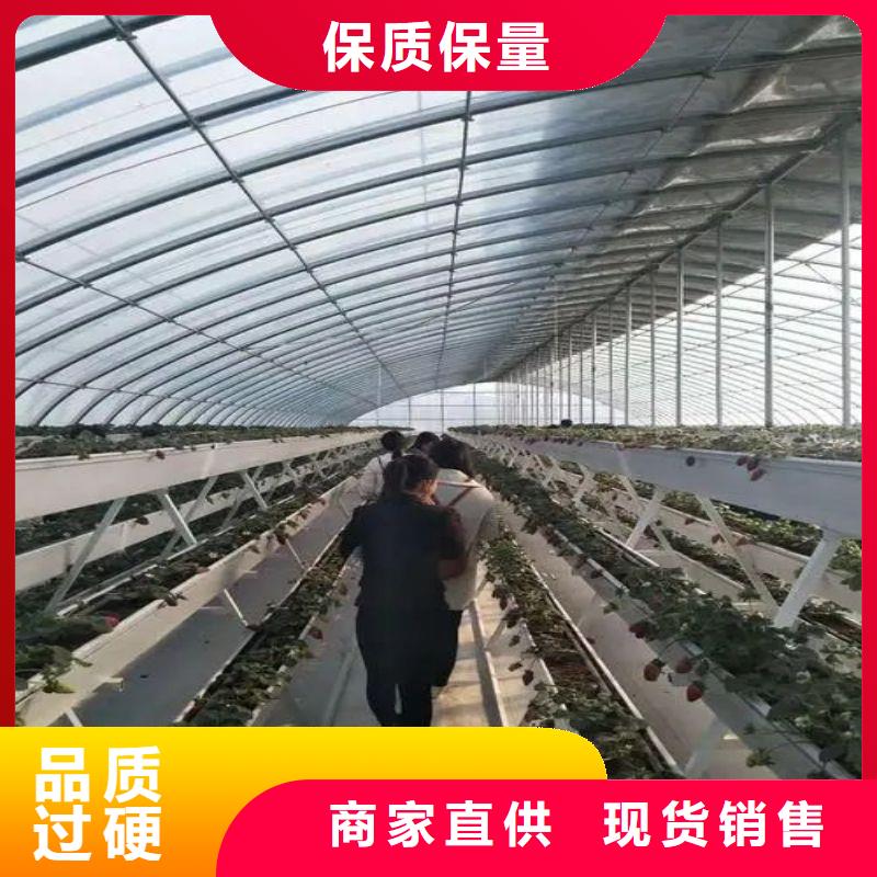 瓜果大棚管 有兴趣合作