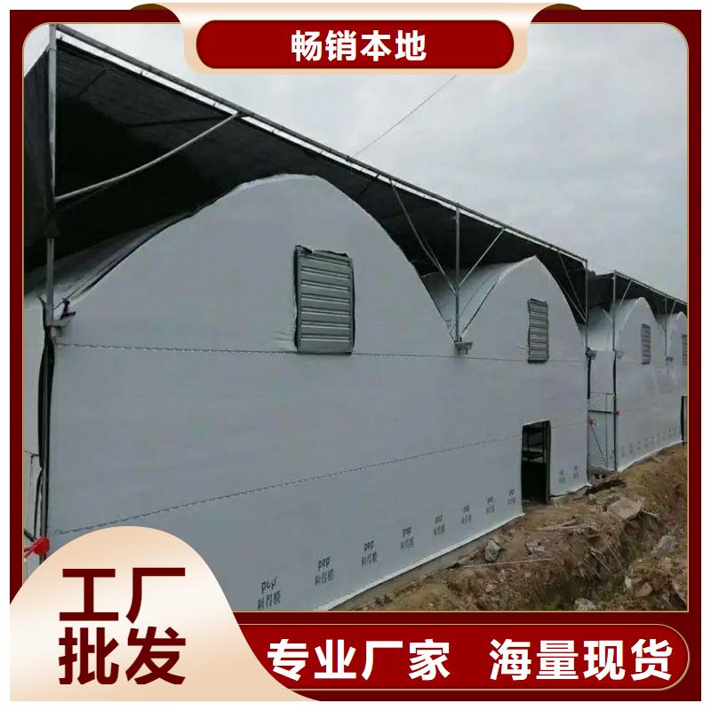 大棚管2连体大棚源厂供货泽沃大棚管