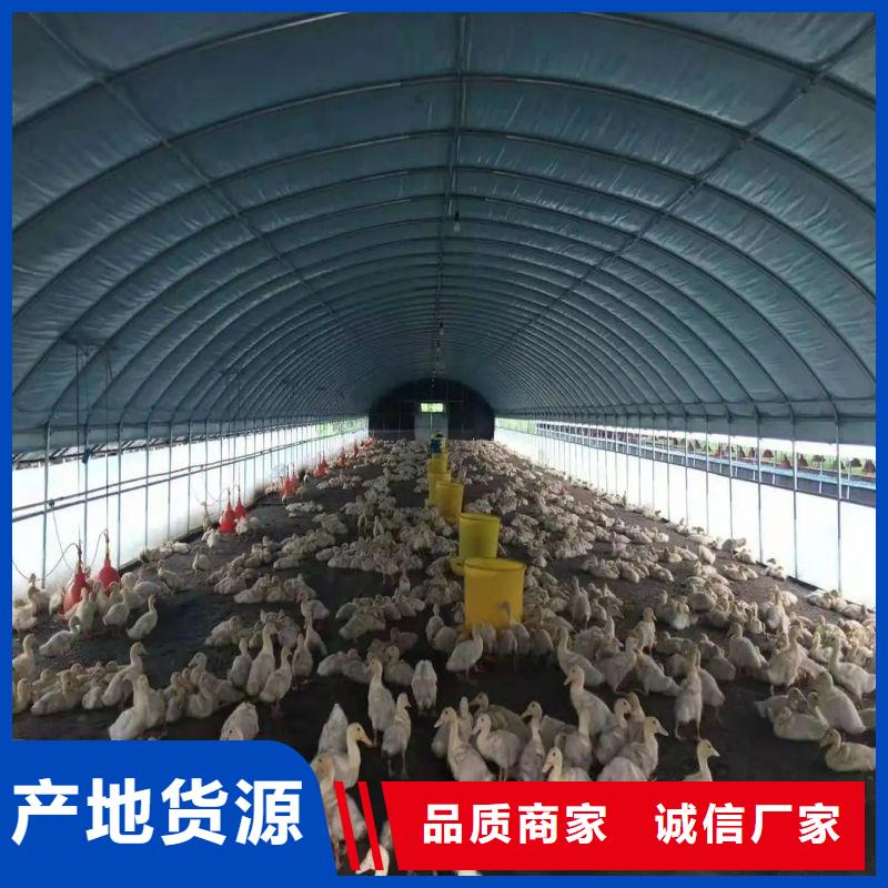 大棚管2温室骨架大棚管市场报价