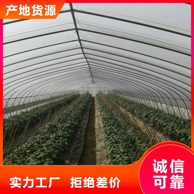 大棚管2温室大棚管卓越品质保障