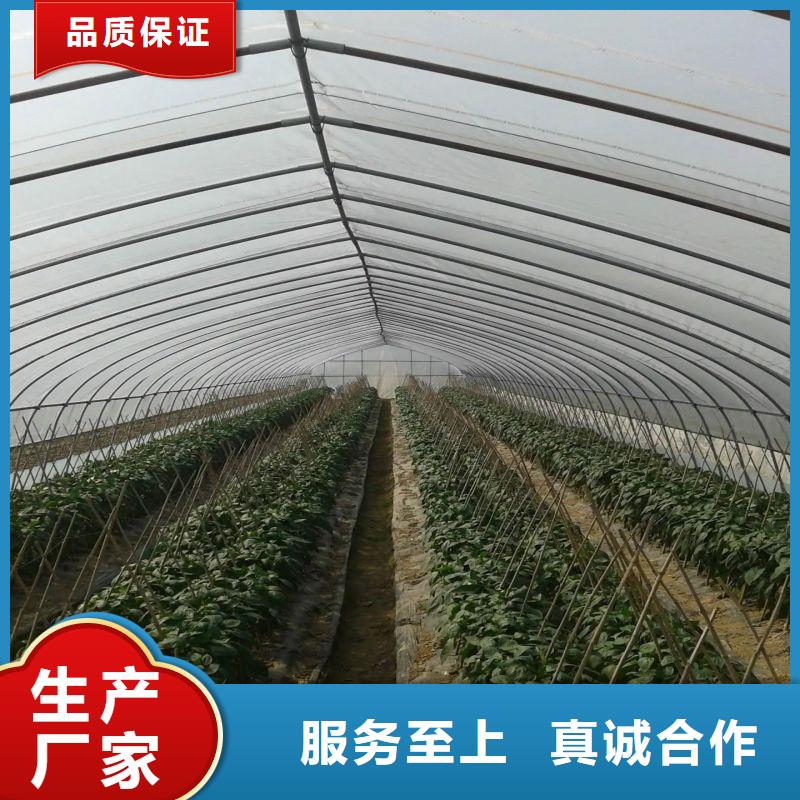 大棚管2-【农业养殖大棚管】极速发货