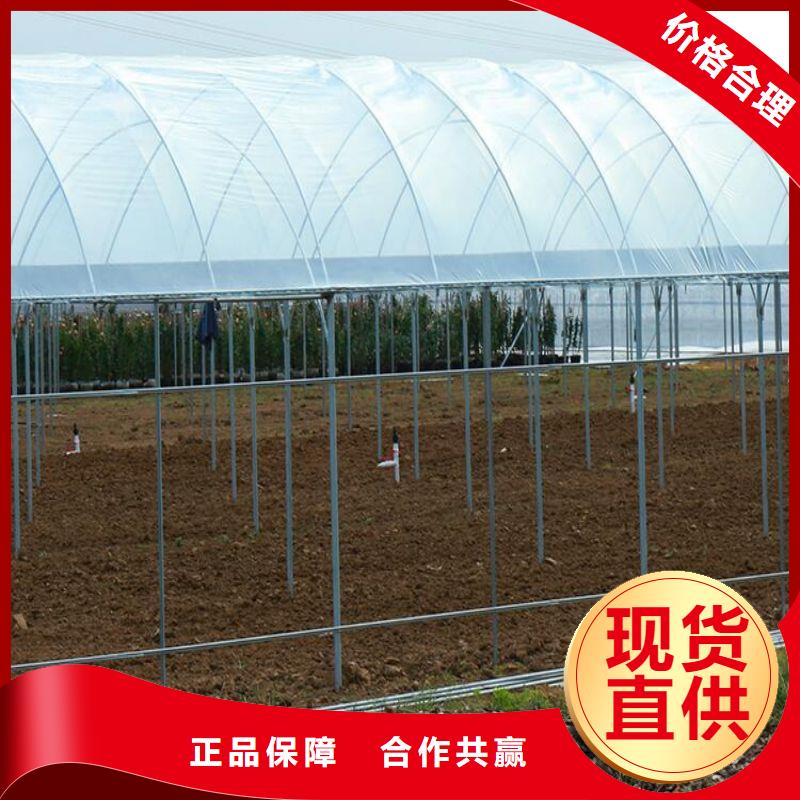 临泉县pc板温室智能大棚下单
