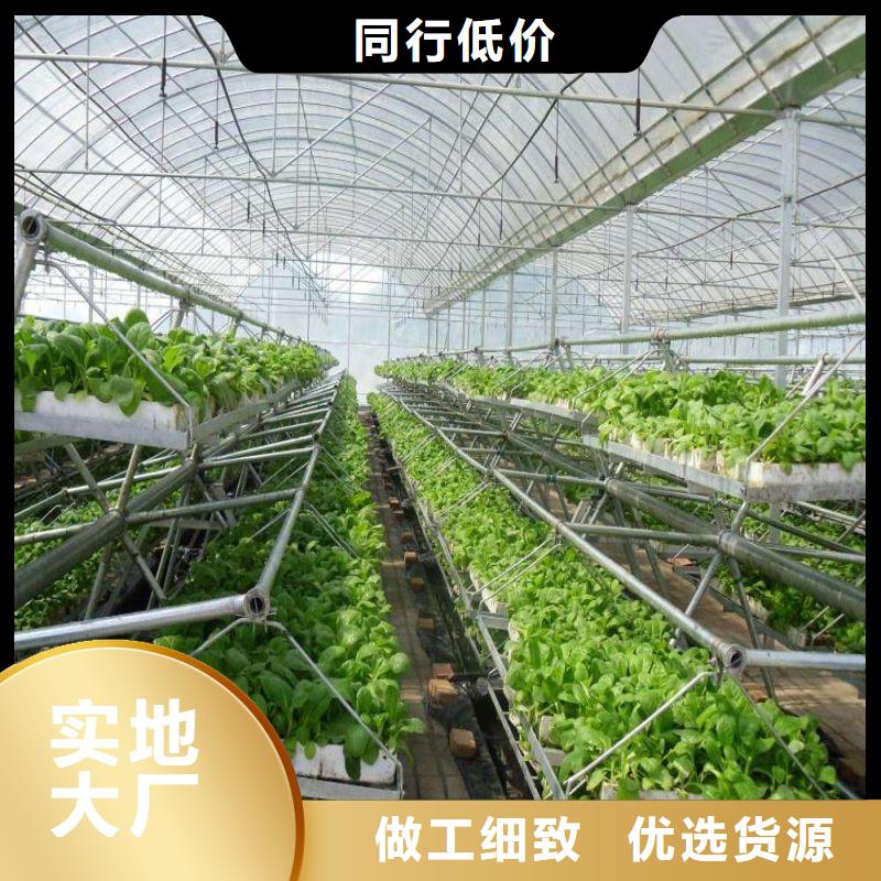 大棚管2 方管品牌大厂家
