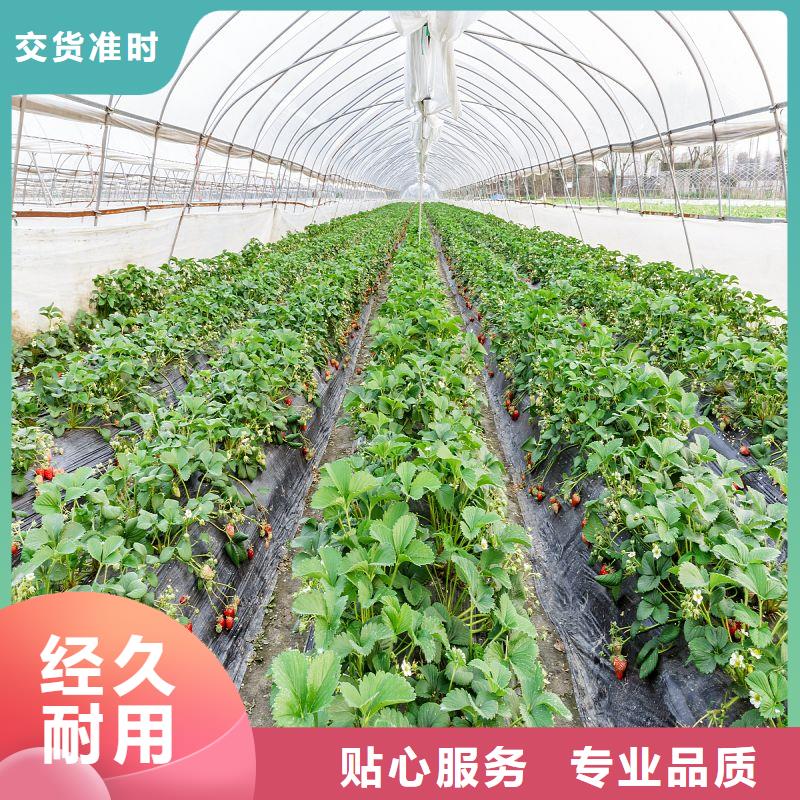 大棚管2_连栋温室搭建来图定制