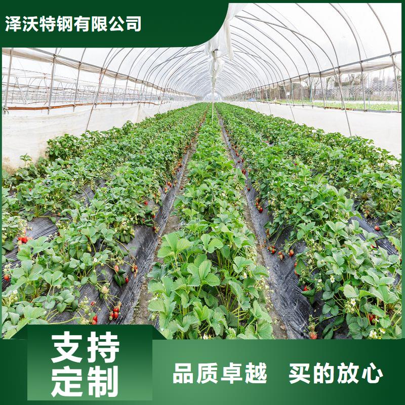 高品质大棚骨架多少钱