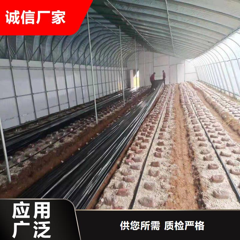 大棚管2温室大棚管厂诚信经营