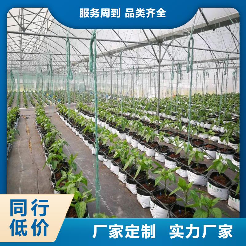 大棚管2温室骨架大棚管型号全价格低